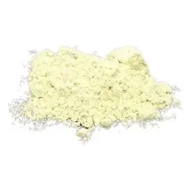 Wasabi 40g - 